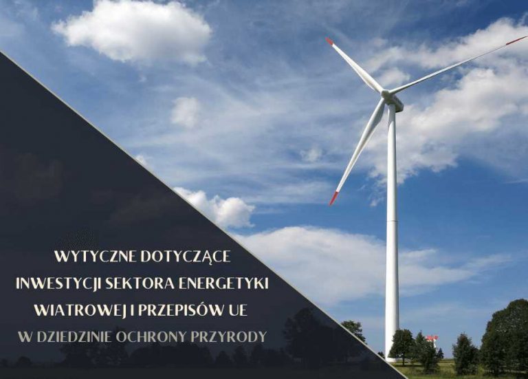 Wytyczne dotyczące inwestycji sektora energetyki wiatrowej i przepisy UE w dziedzinie ochrony przyrody.