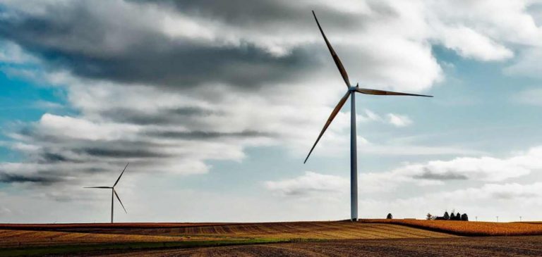 Czy monitoringi ptaków i nietoperzy dla farm wiatrowych należy wykonywać zgodnie z wytycznymi?