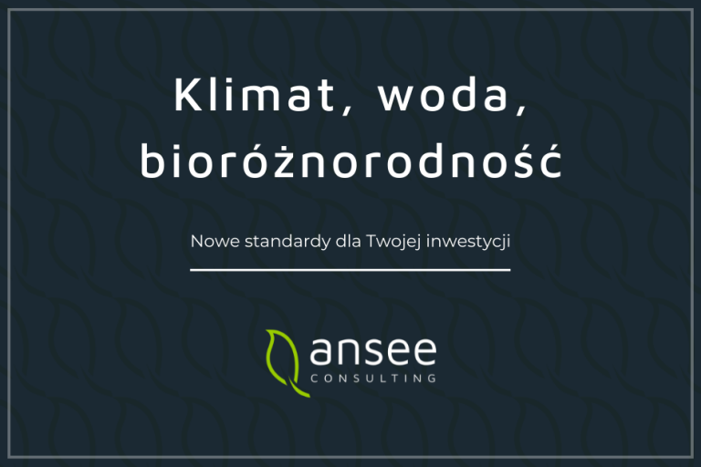 Ansee Consulting – zmieniamy się dla Was!