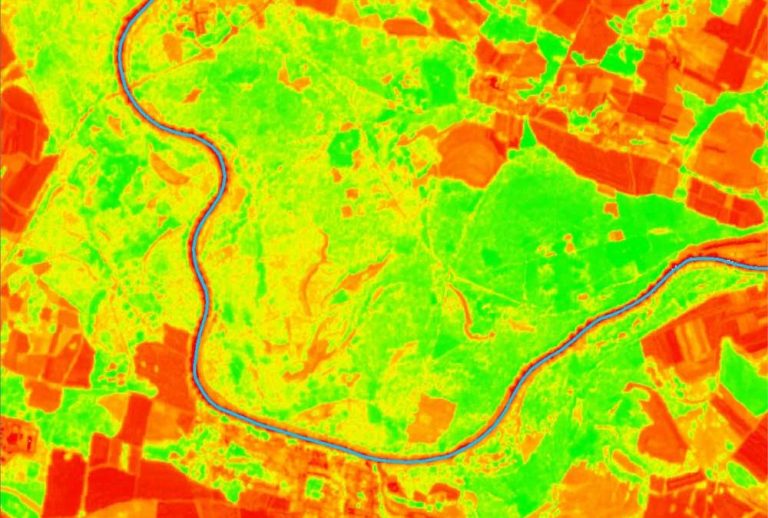 Wykorzystanie satelitarnych danych spektralnych do monitoringu stanu i kondycji siedlisk łęgowych