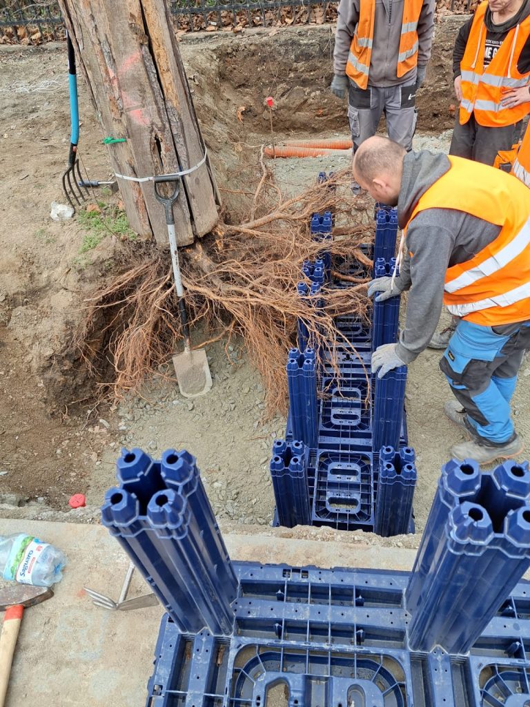 Zastosowanie systemu antykompresyjnego dla ochrony drzew